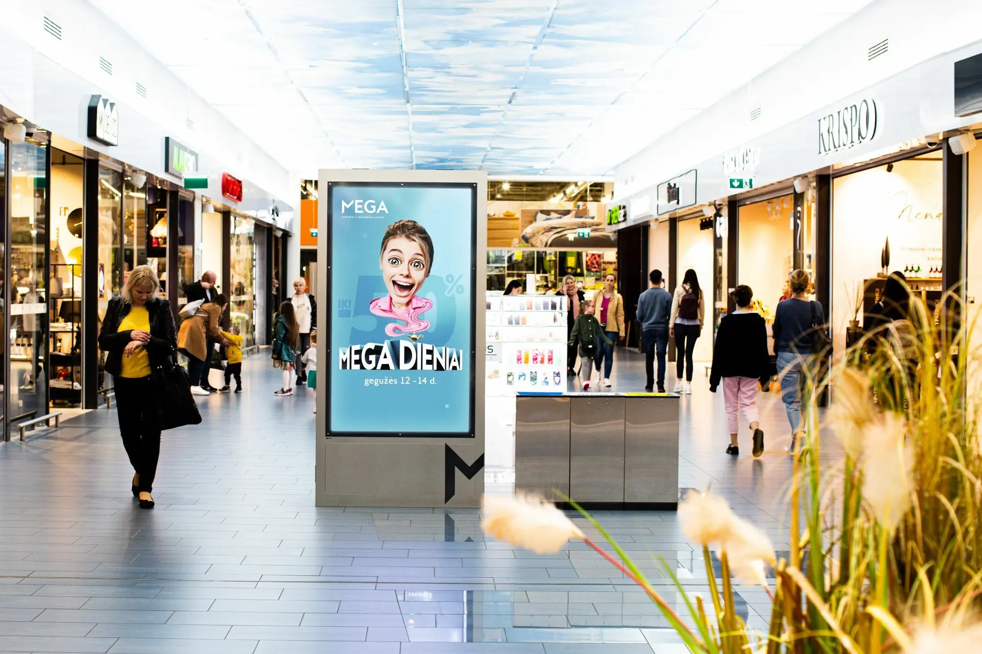 Megadieniai Megoje