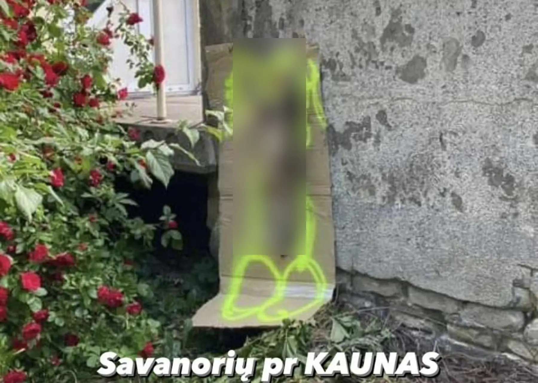 Katino egzekucija Savanorių prospekte