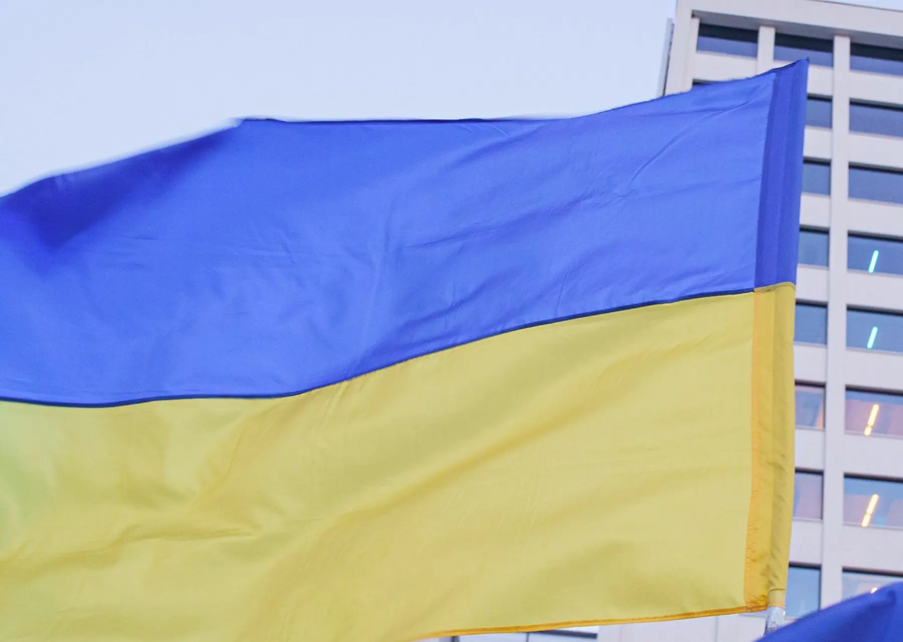 Ukrainos vėliava