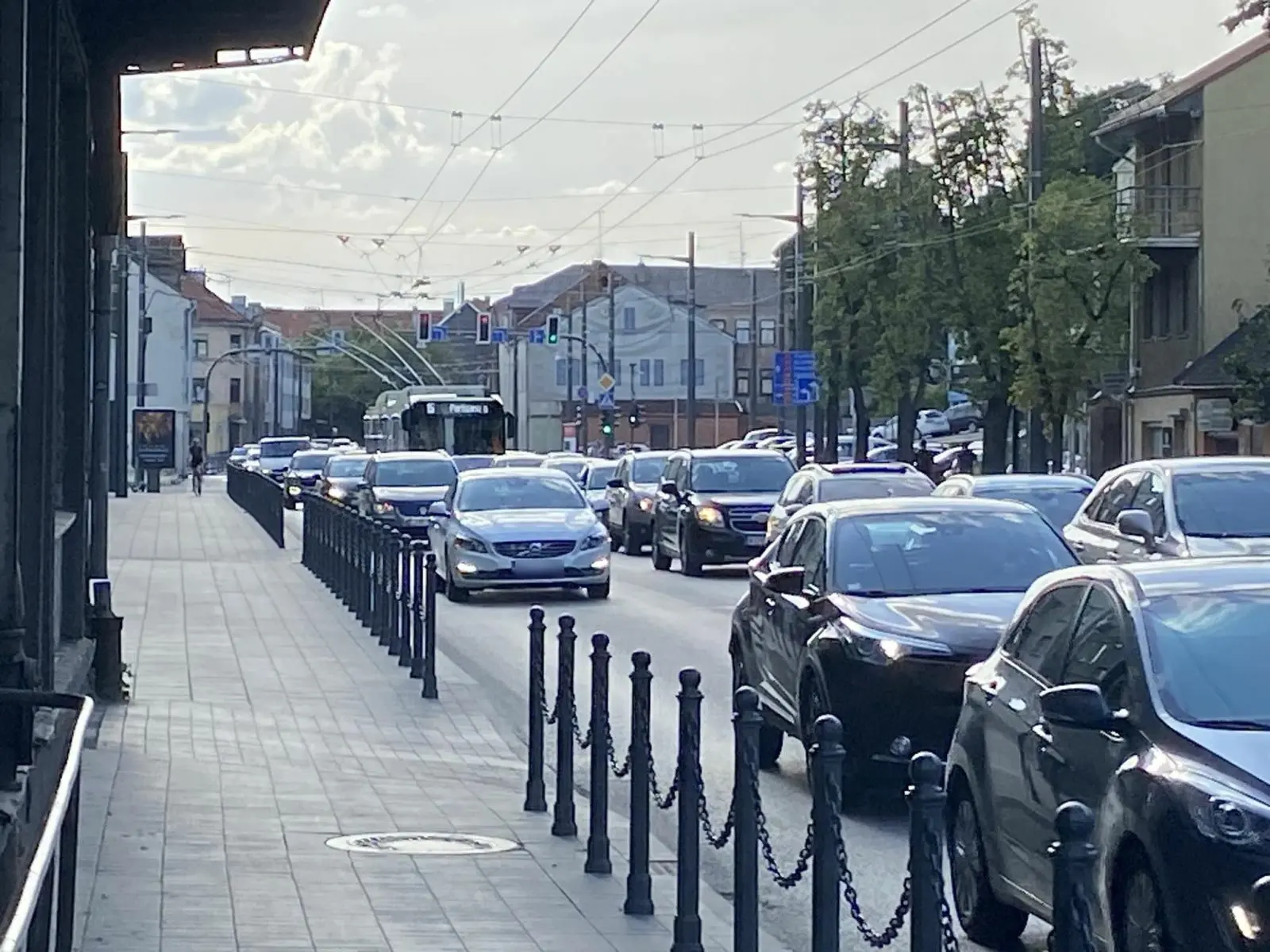 Dviejų automobilių avarija paralyžavo E. Ožeškienės gatvę