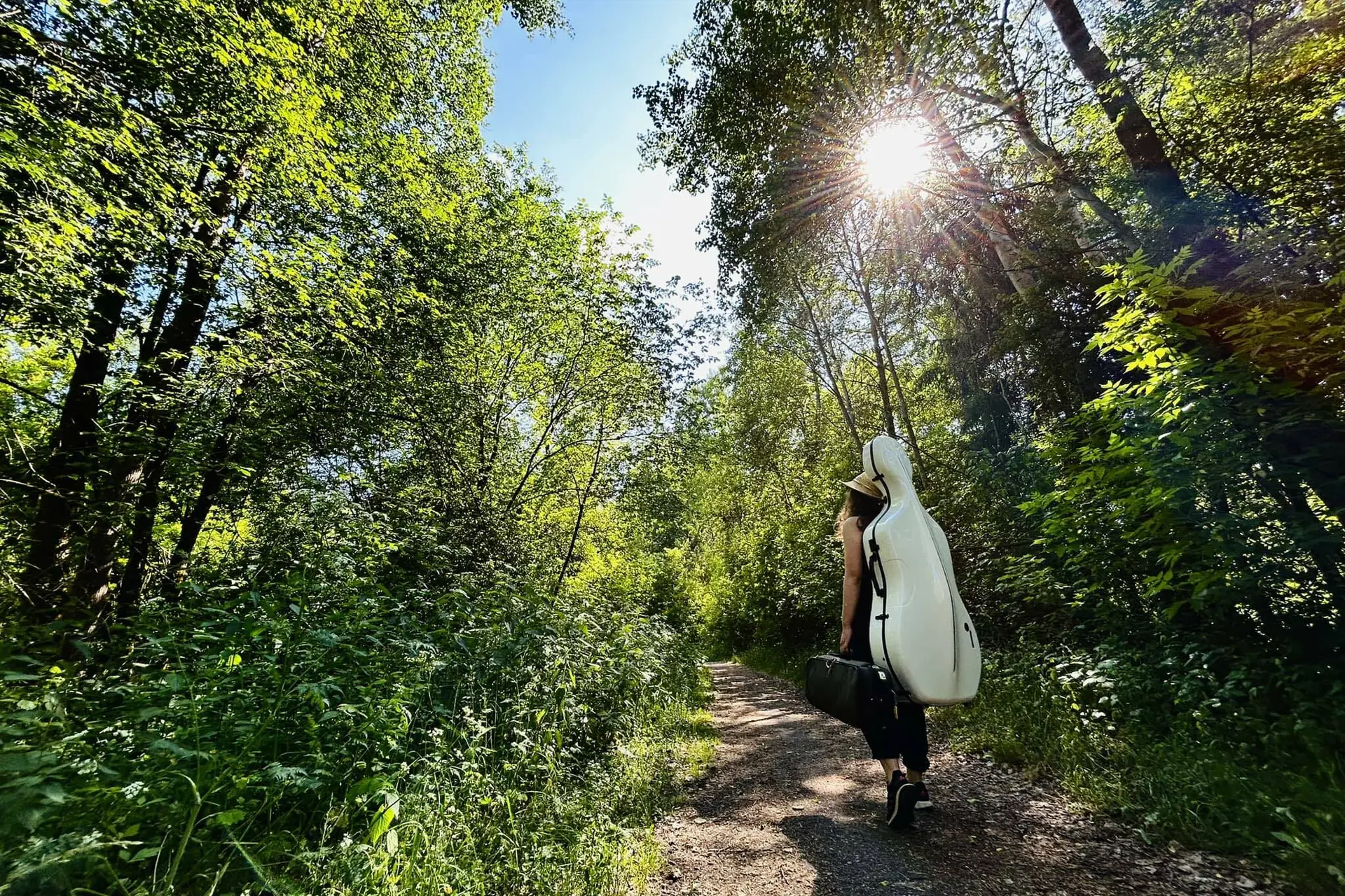 camino