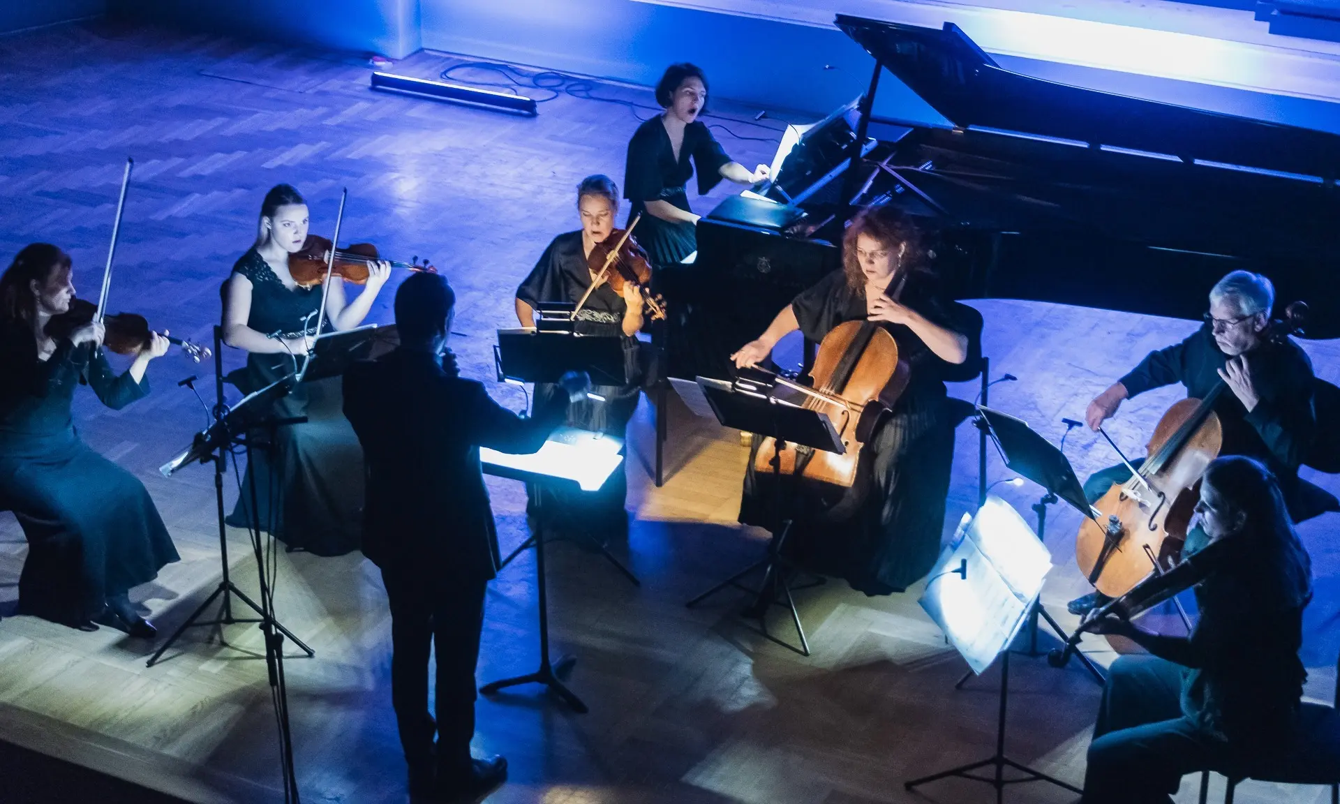 Festivalių Iš arti nuotr. 6