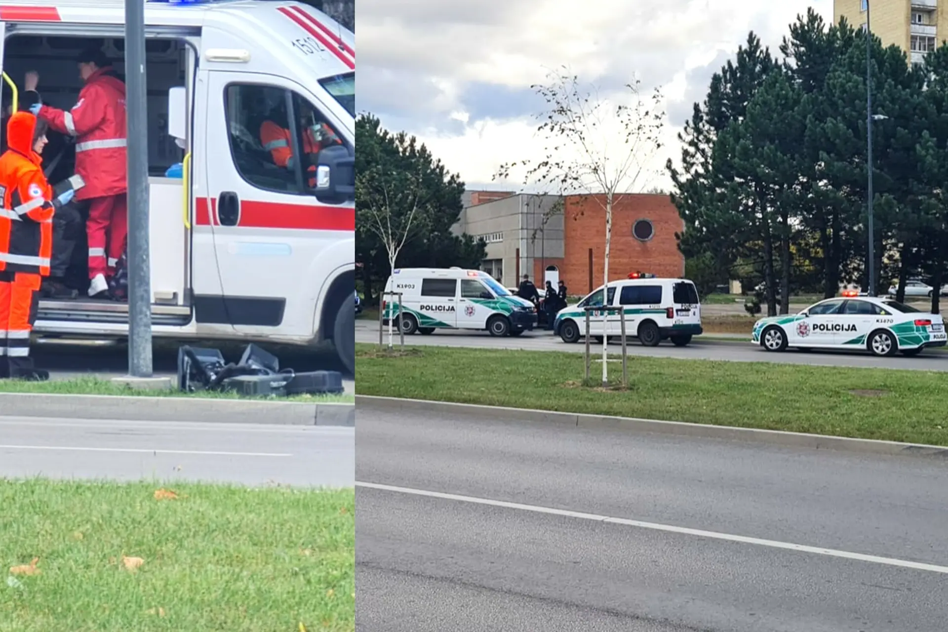 Taikos prospekte sugadintas trikojis