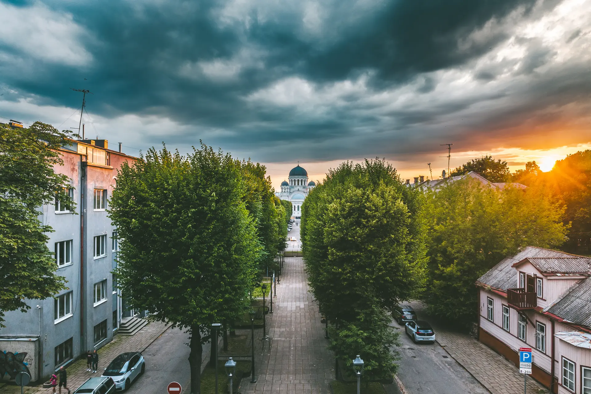 Laisvės alėjos liepos