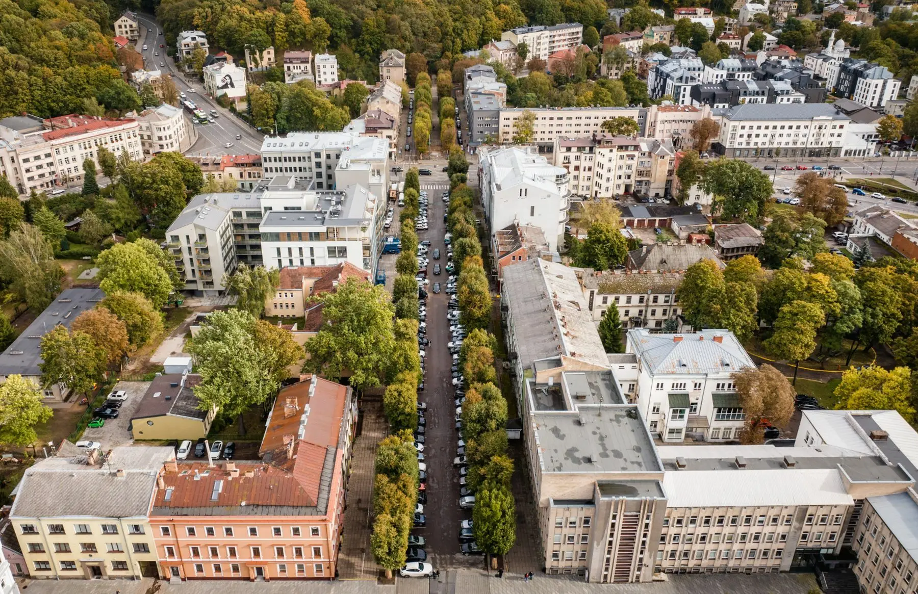 Laisvės alėja