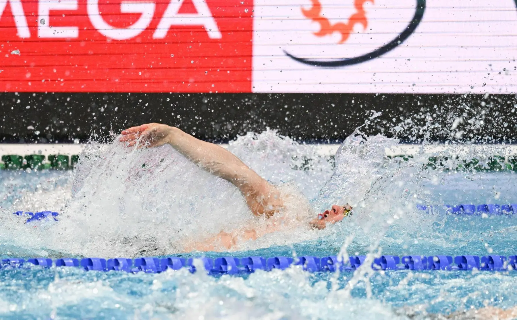 Erikas Grigaitis