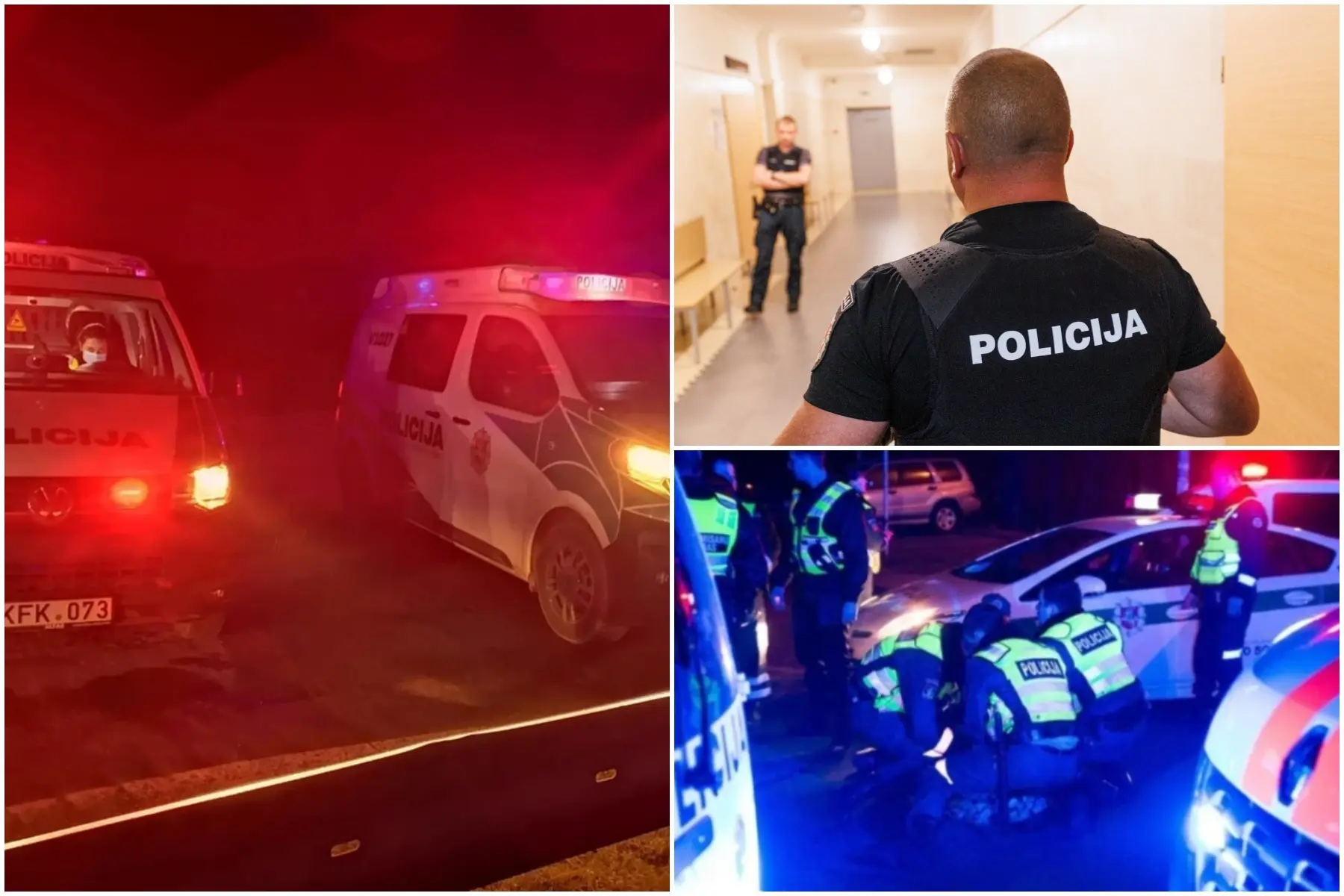 policija