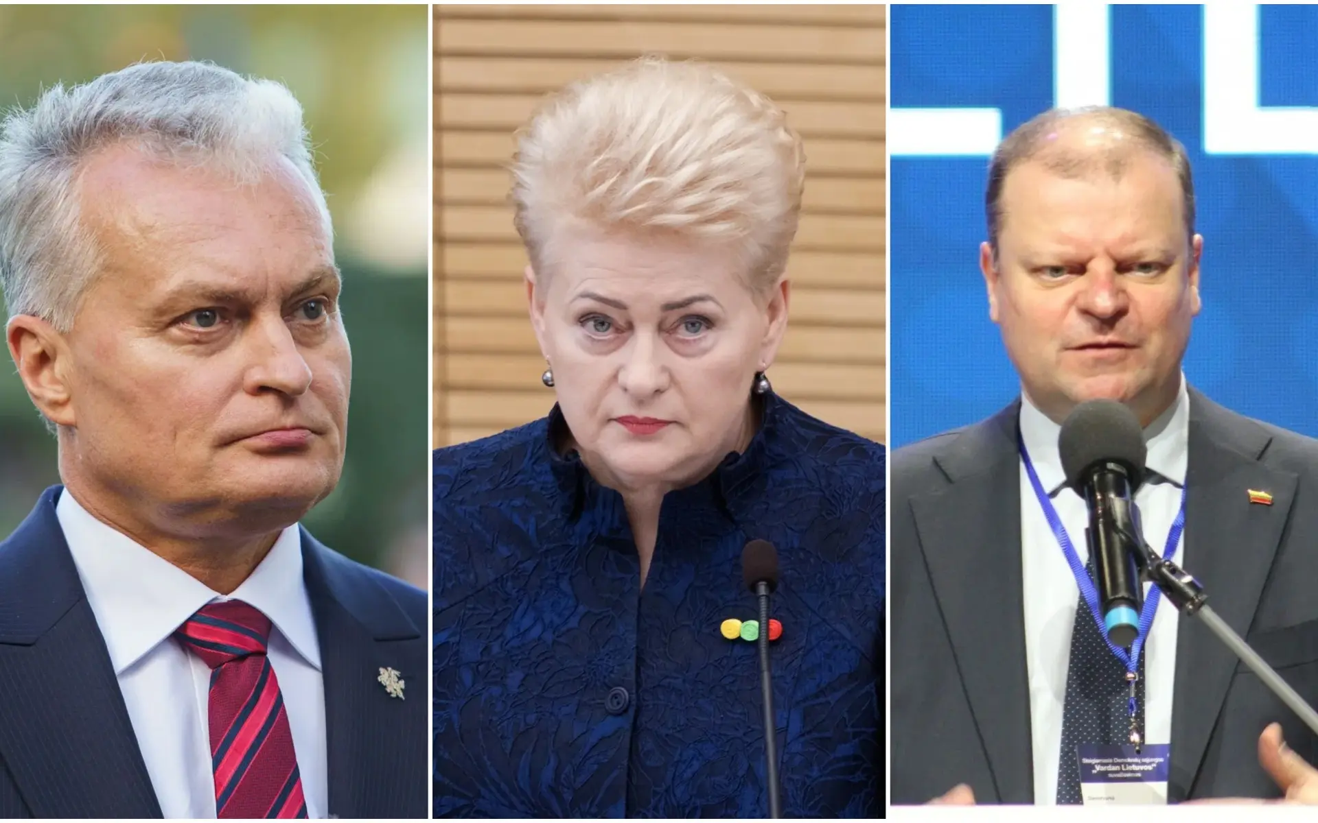 G. Nausėda, D. Grybauskaitė, S. Skvernelis