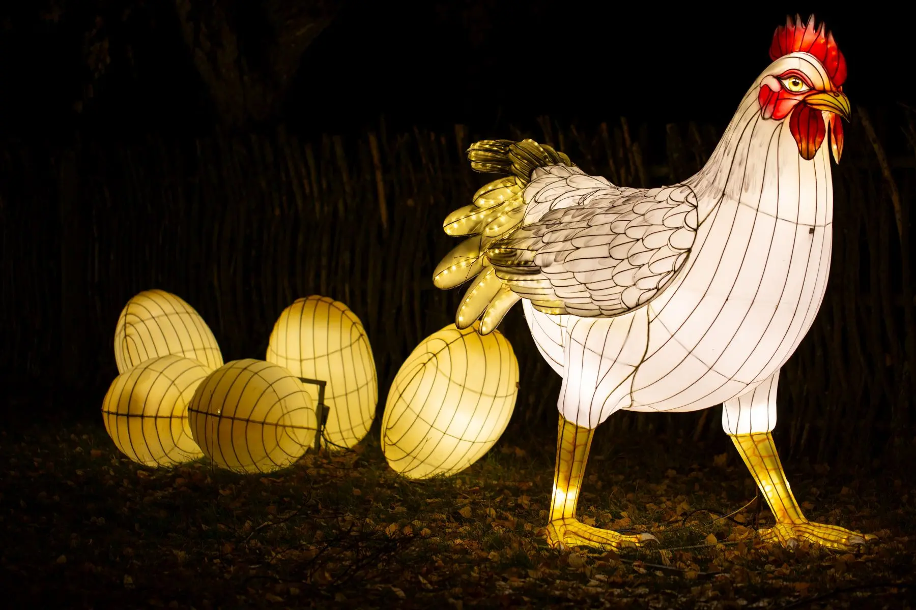 Šviesų festivalis „Mėnulio takais“ /