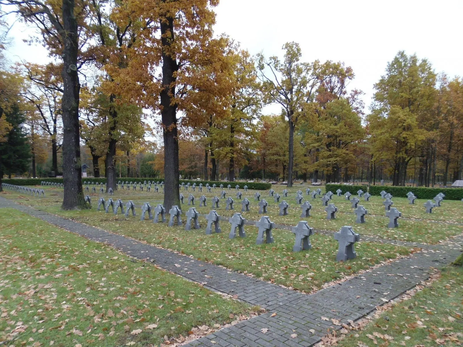 Karių kapinės Aukštuosiuose Šančiuose / KPD nuotr.