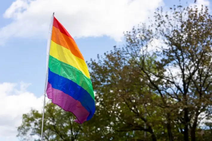 LGBT vėliava