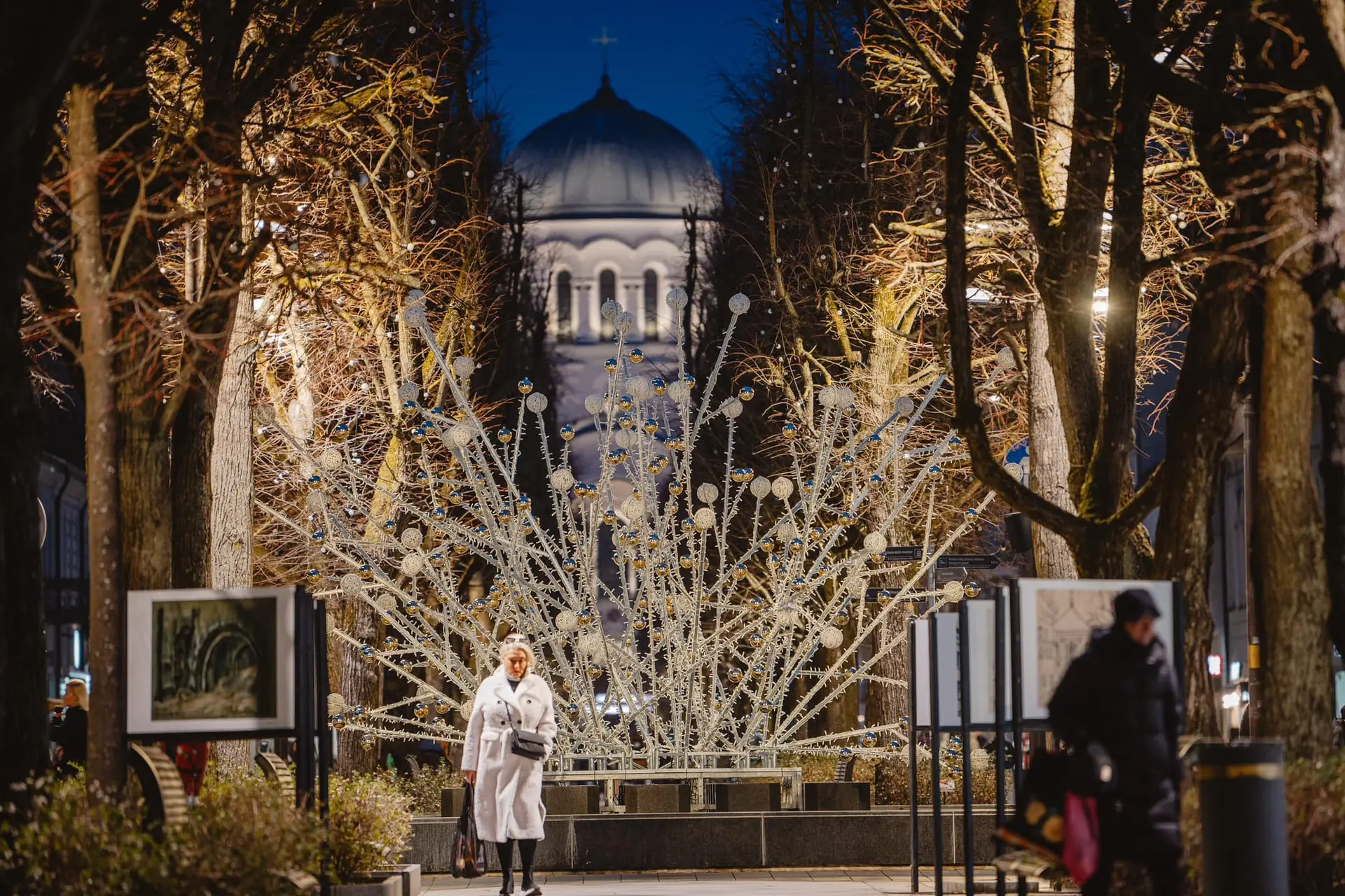 Kalėdiniai papuošimai Laisvės al. fontane / kaunas.lt nuotr.