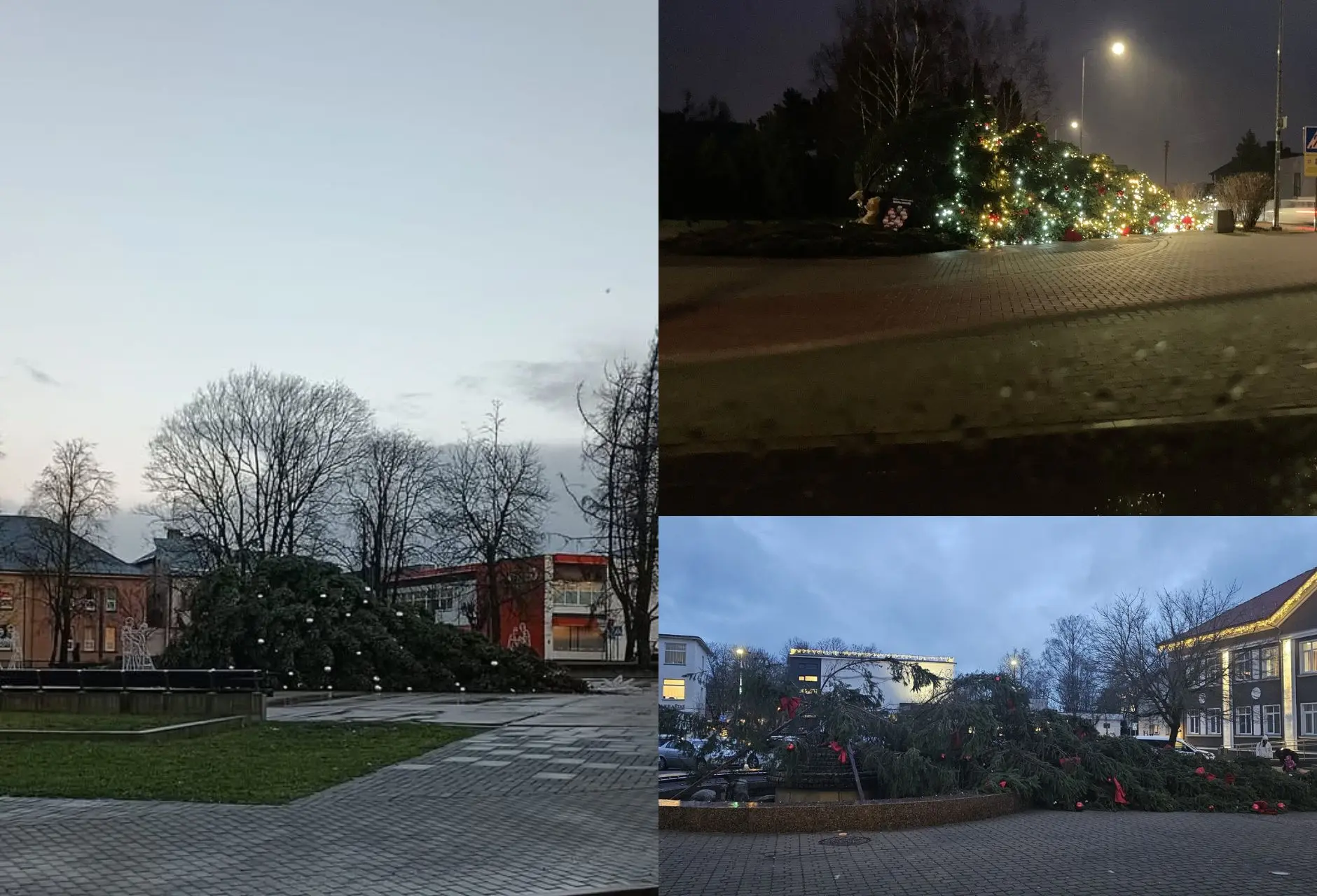Vėjo neatlaikė šalies eglės / Kas vyksta Kaune koliažas
