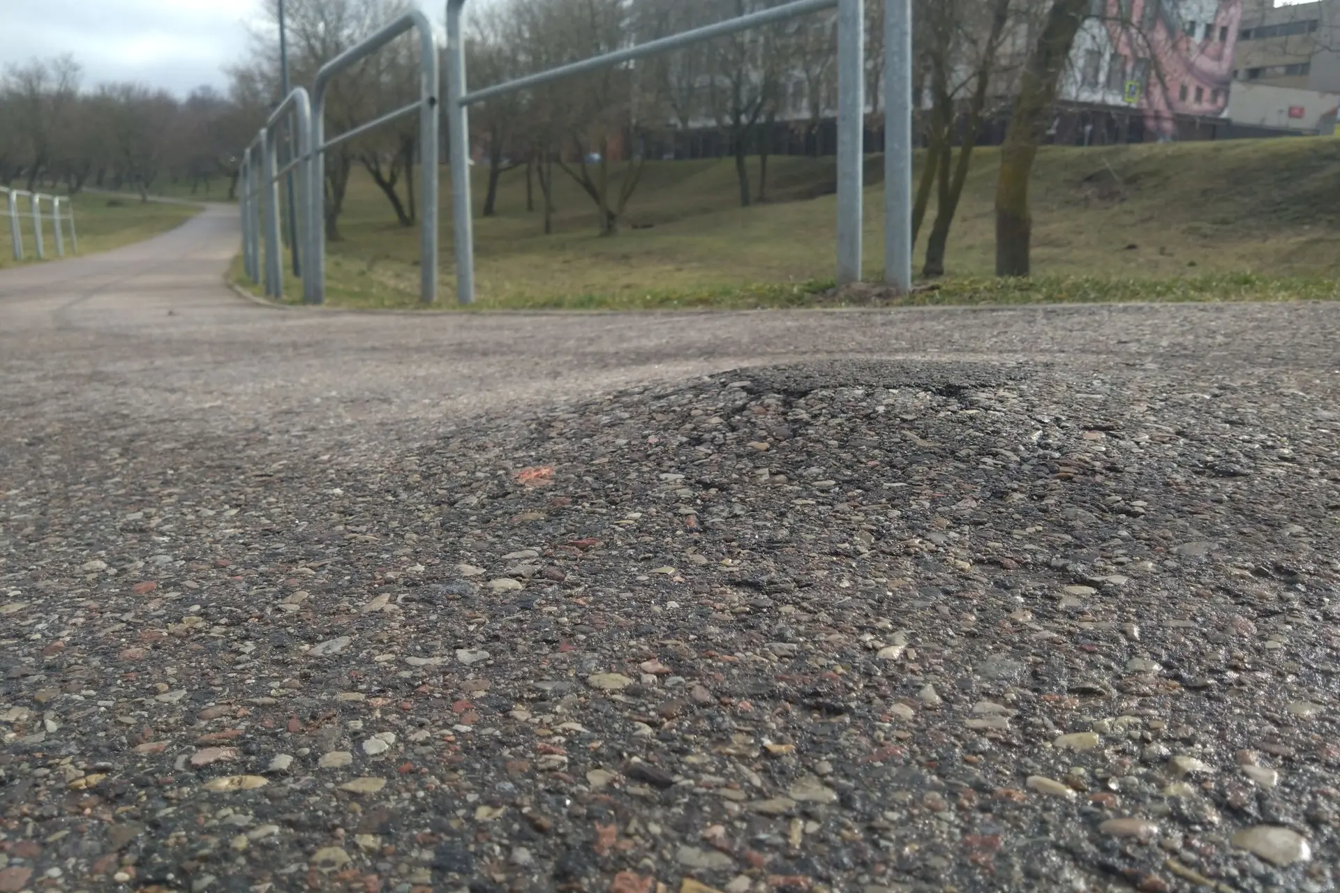 Gumbas dviračių take / „Facebook“ grupės „Kauno dviračių takai“ nuotr.