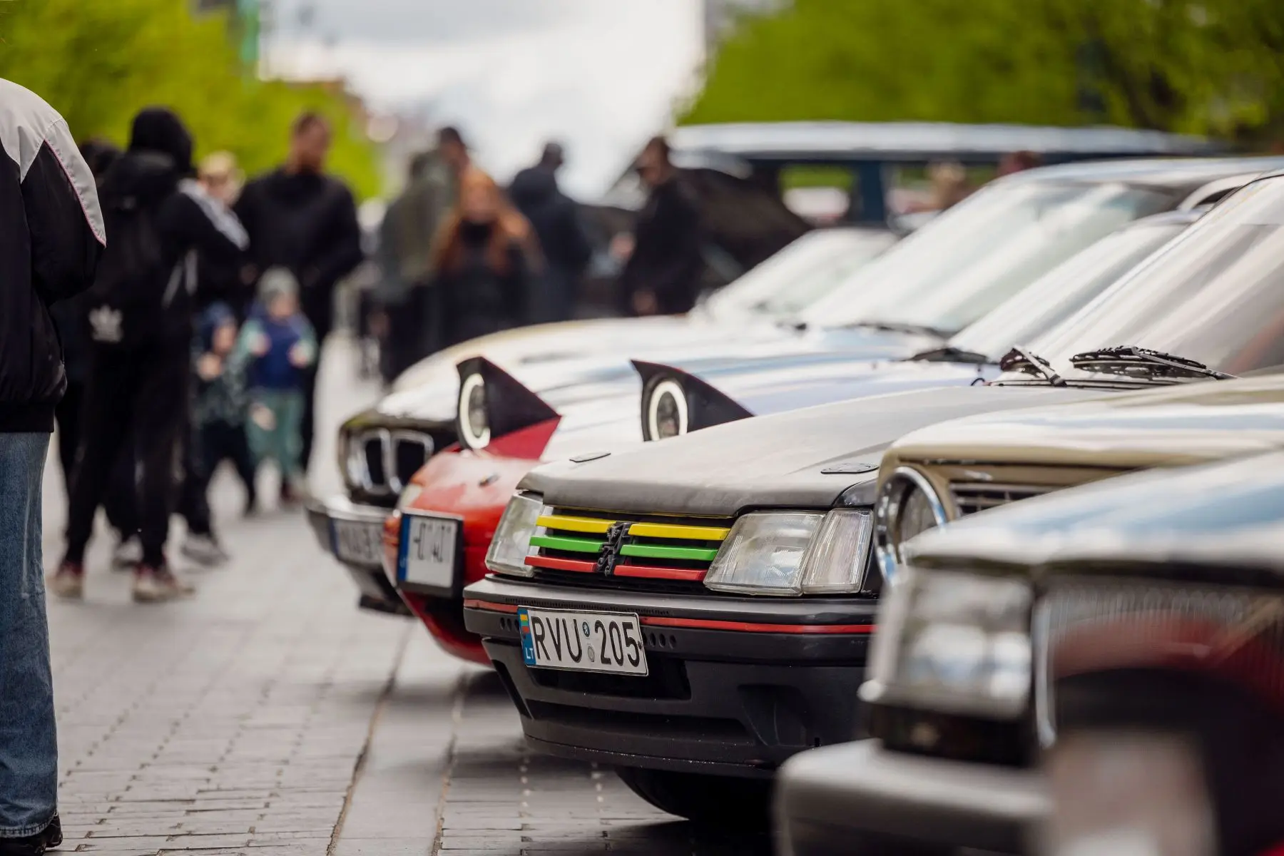 Protestas prieš siūlymą ilginti istorinių automobilių amžių / S. Lisausko, BNS nuotr.