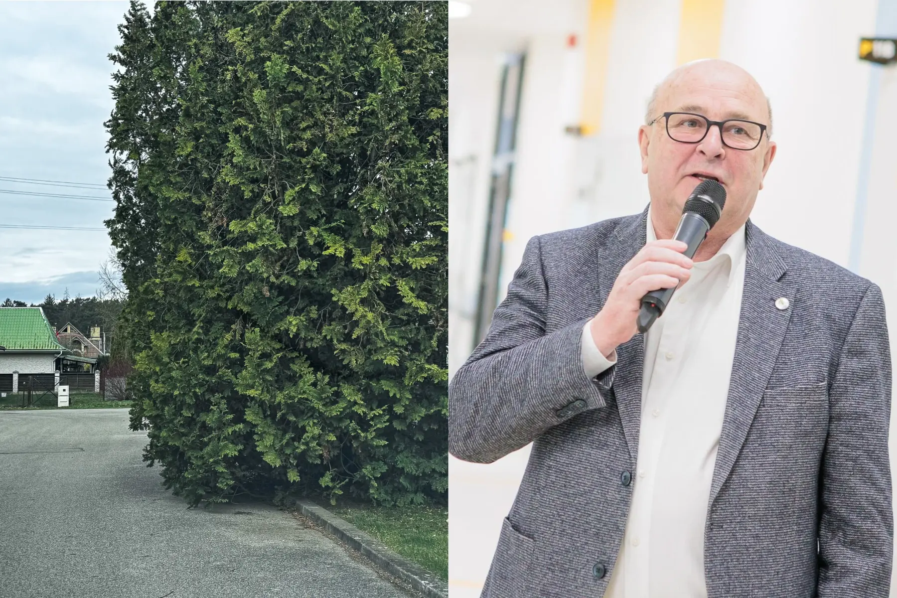 Kauno meras paaiškino, kodėl jo augmenija užima valstybinę žemę