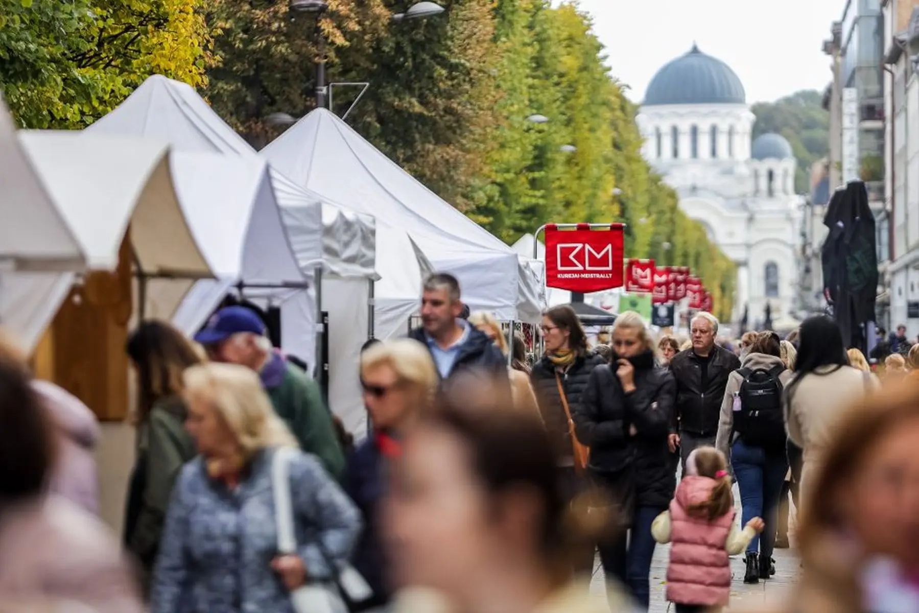 Kauno pavasario mugė / Organizatorių nuotr.