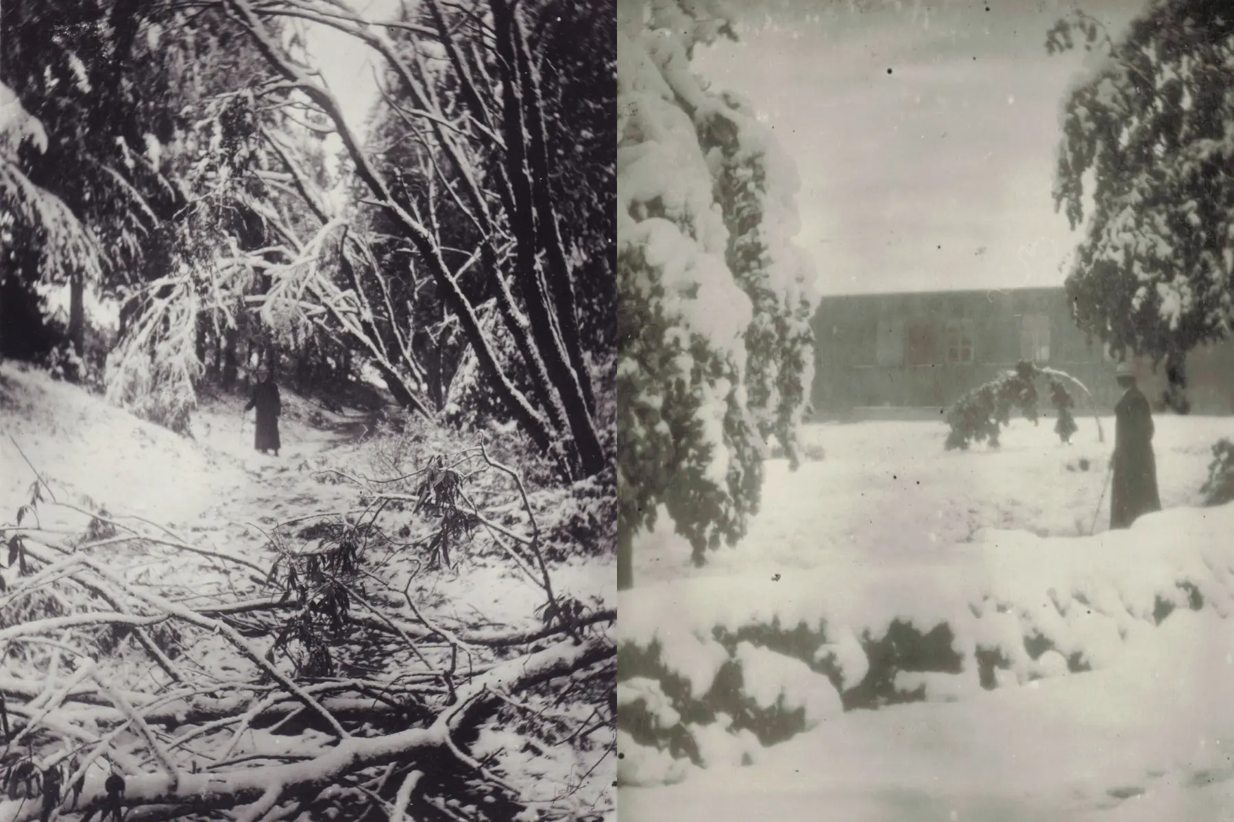 Vasara su šalčio prieskoniu: istorinės birželio šalnos ir sniego danga Lietuvoje