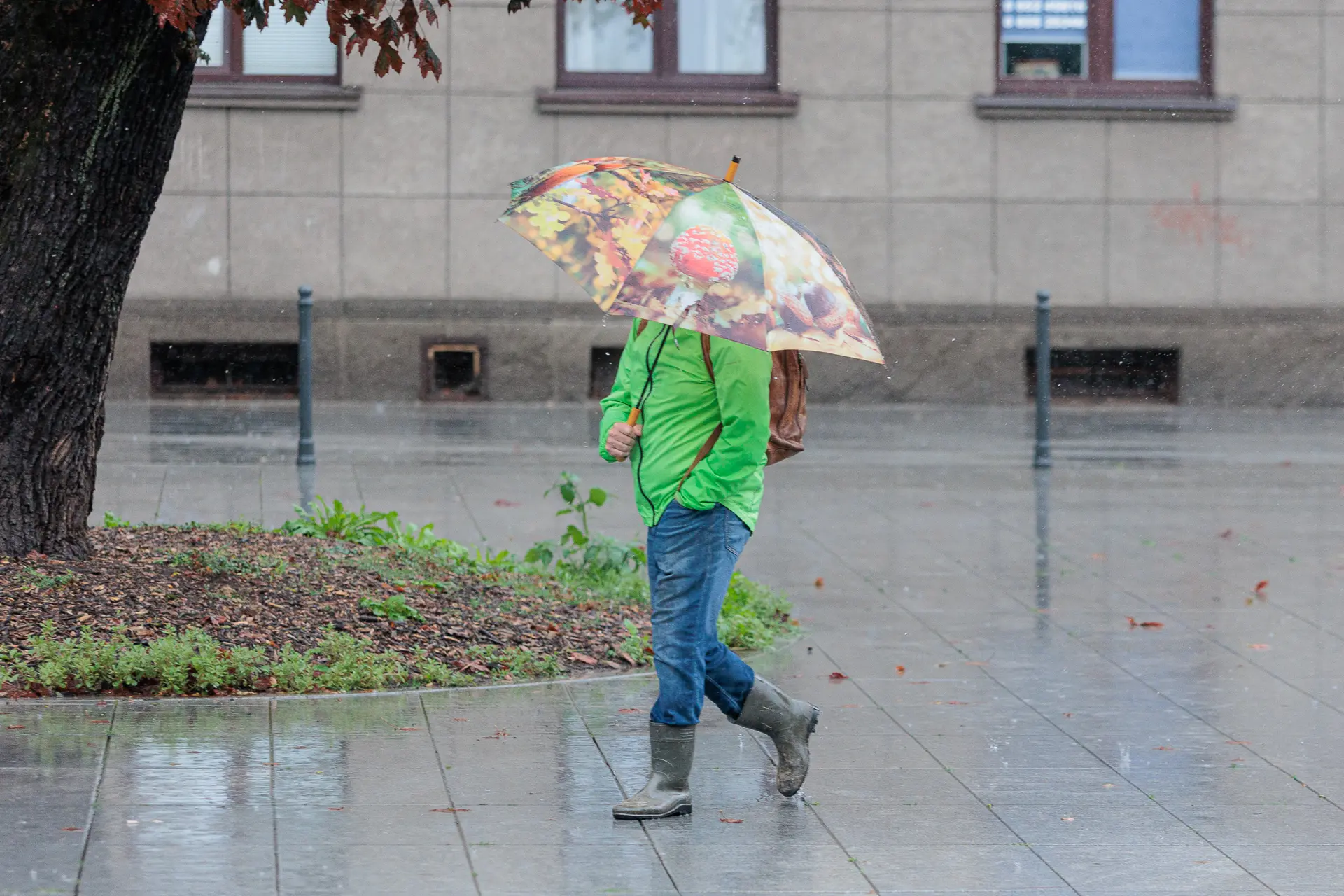 Sinoptikai: savaitgalį Lietuvą pasieks lietūs ir perkūnija