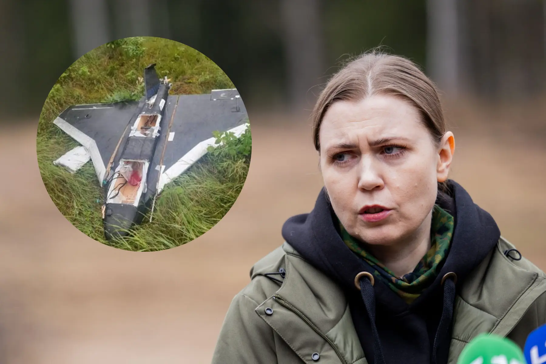 D. Šakalienė: Lietuvos teritorijoje nukrito Rusijoje gaminamas dronas „Gerbera“