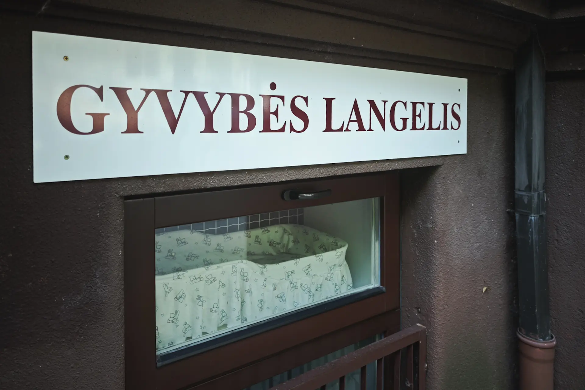Gyvybės langelis / R. Tenio nuotr.