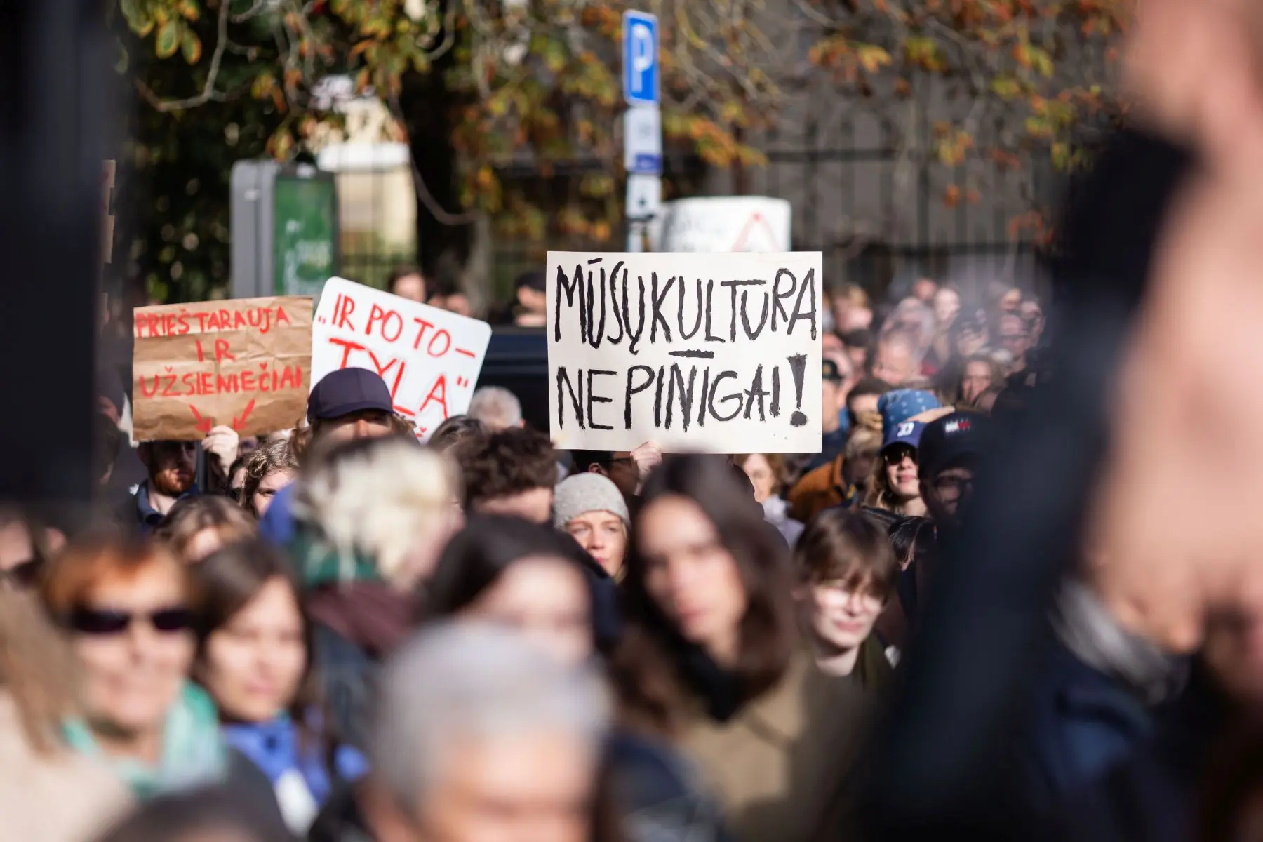 Profesinės sąjungos: už kultūros sektoriaus krizę atsakomybę turi prisiimti prezidentas ir koalicija