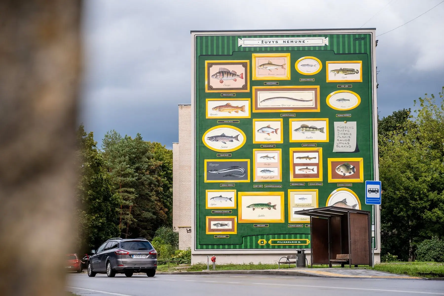 Piešinys ant Piliakalnio gatvės daugiabučio / Kaunas.lt nuotr.