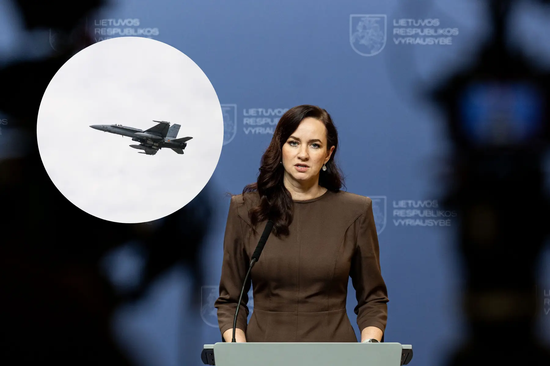 I.Ruginienė šaukia Nacionalinio saugumo komisiją dėl Lietuvoje nukritusio galimai drono