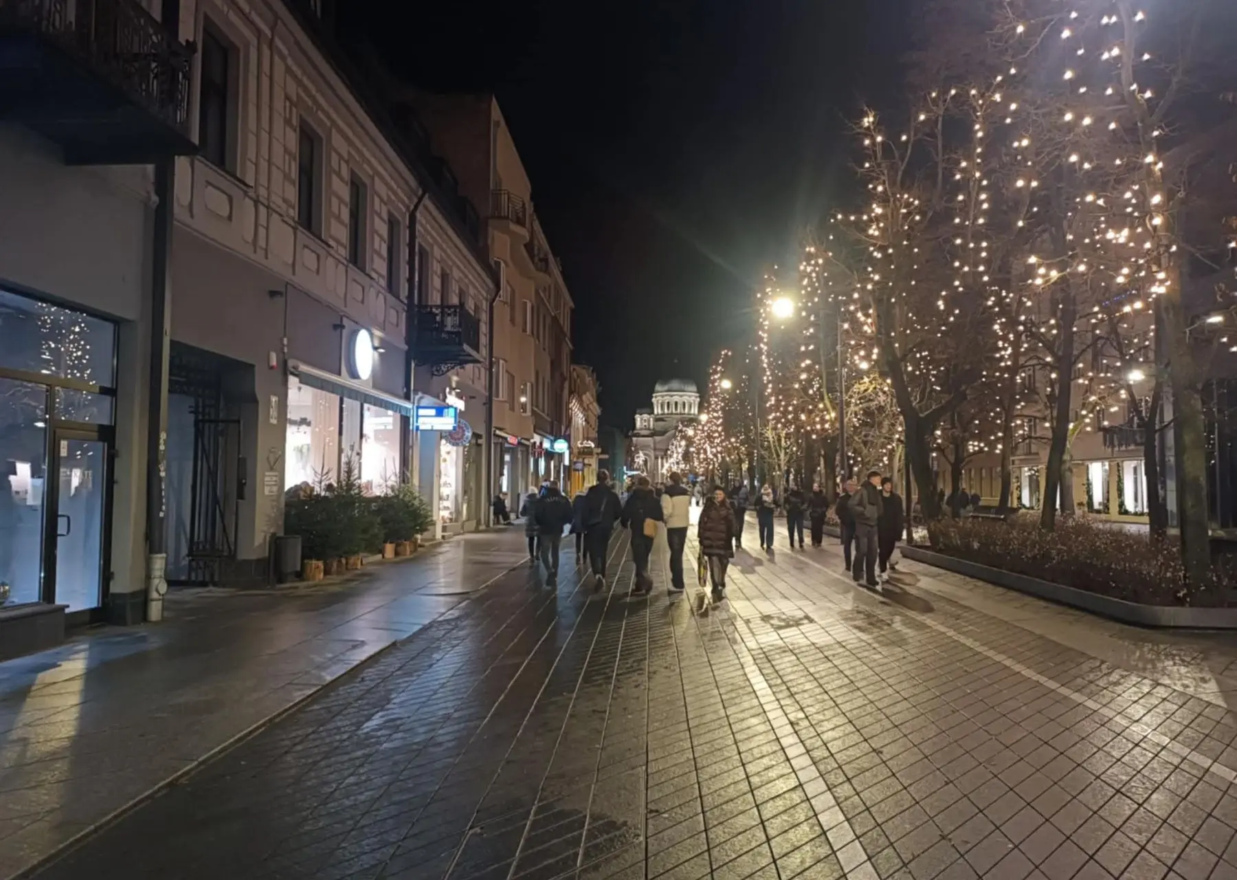 Laisvės alėja / Skaitytojo nuotr.
