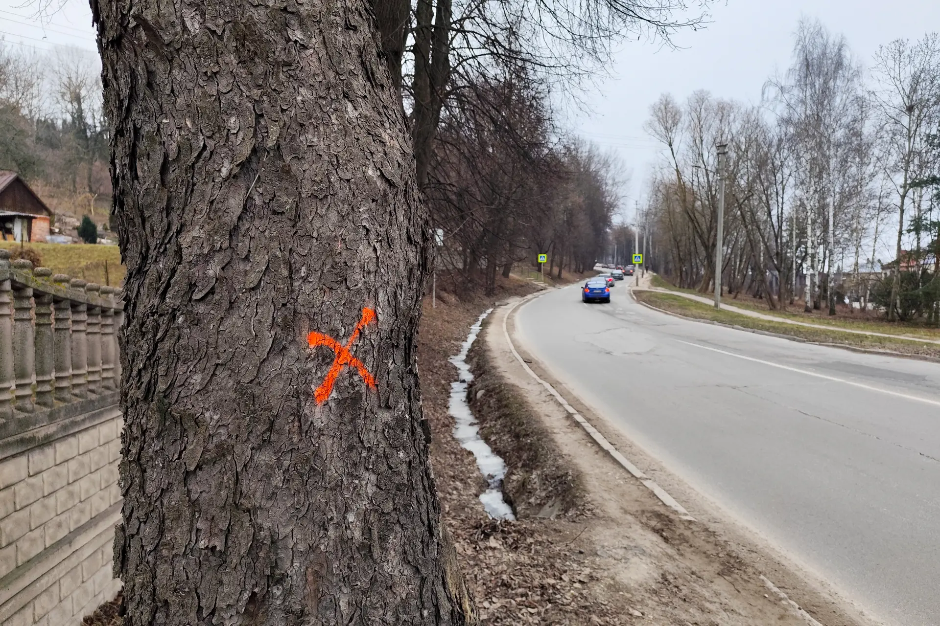 Kertami medžiai Milikonių įkalnėje