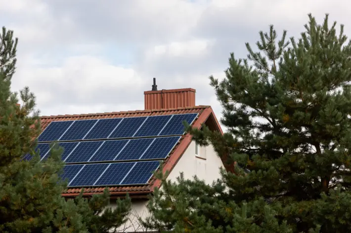 Saulės elektrinė / BNS nuotr.