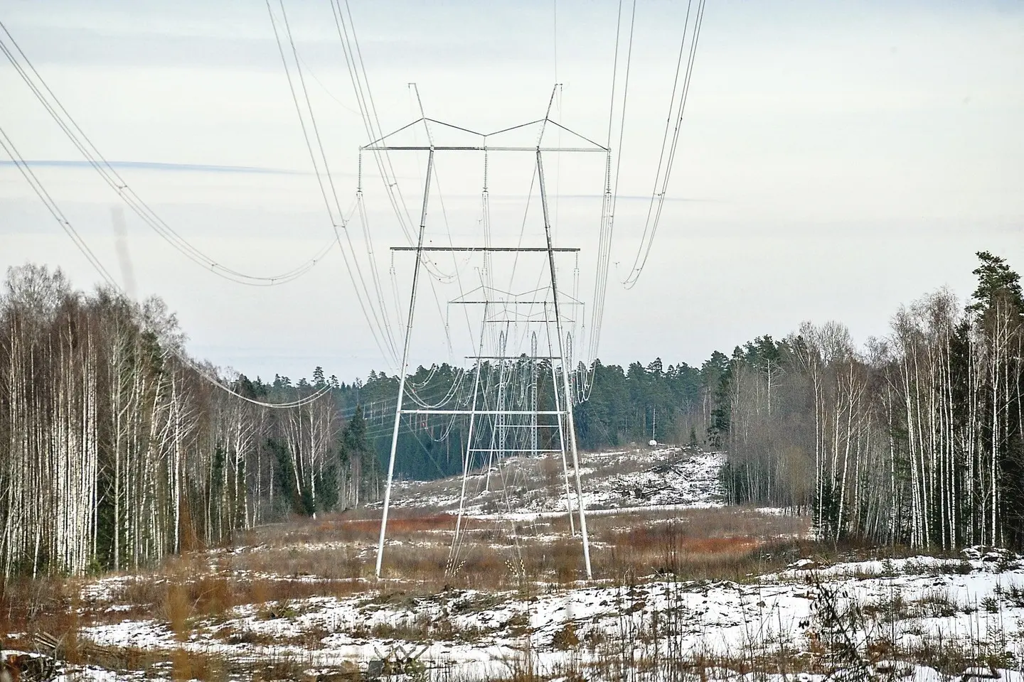 elektros laidai