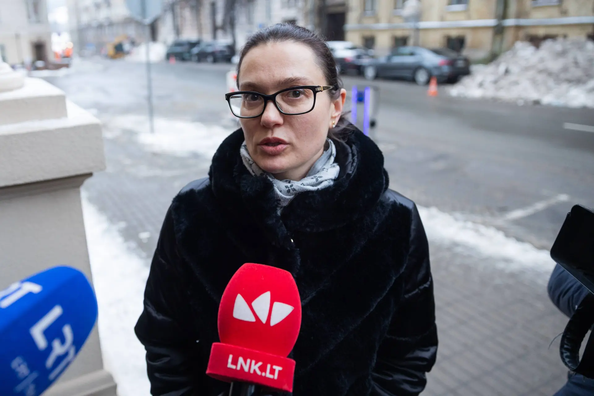 Agnė Silickienė / BNS nuotr.