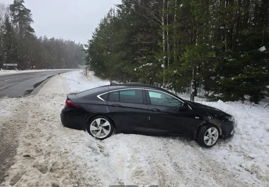 Nuo kelio nuvažiavęs automobilis