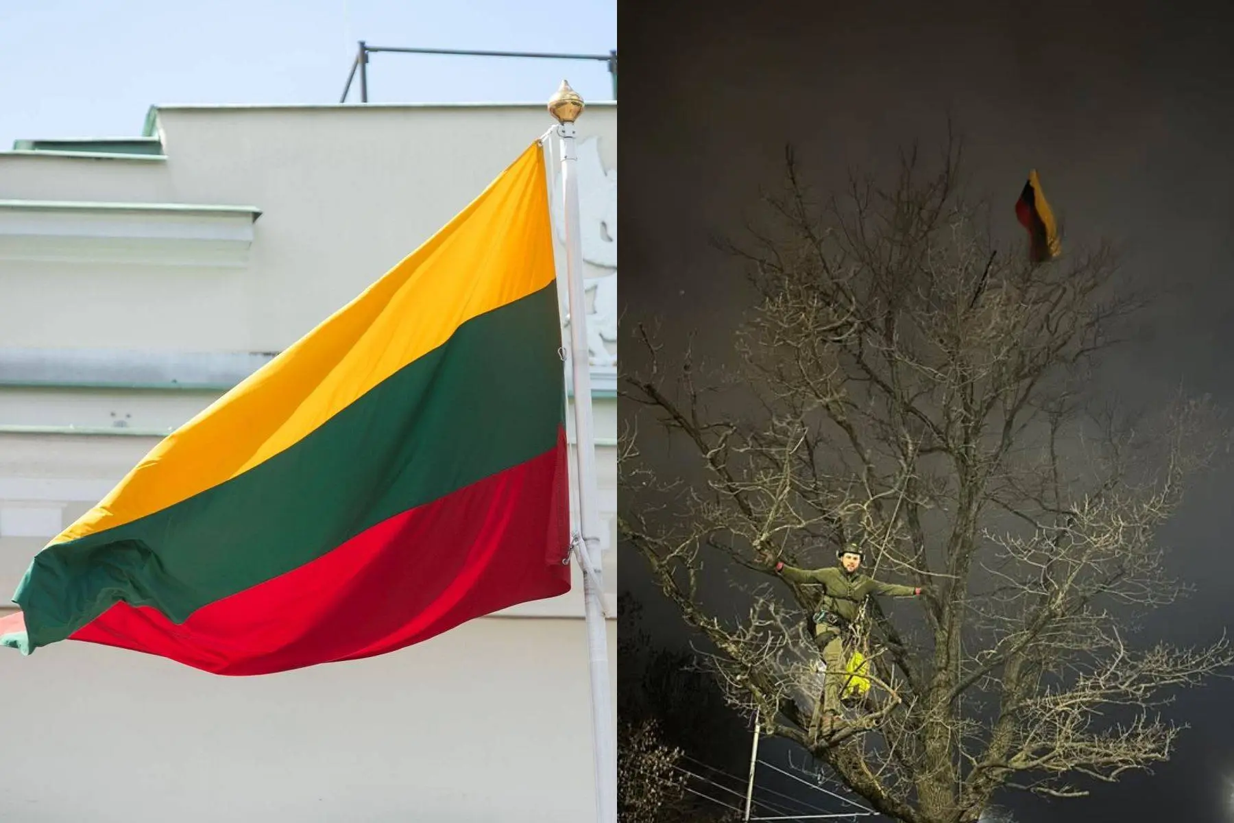 Ąžuolas, vėliava