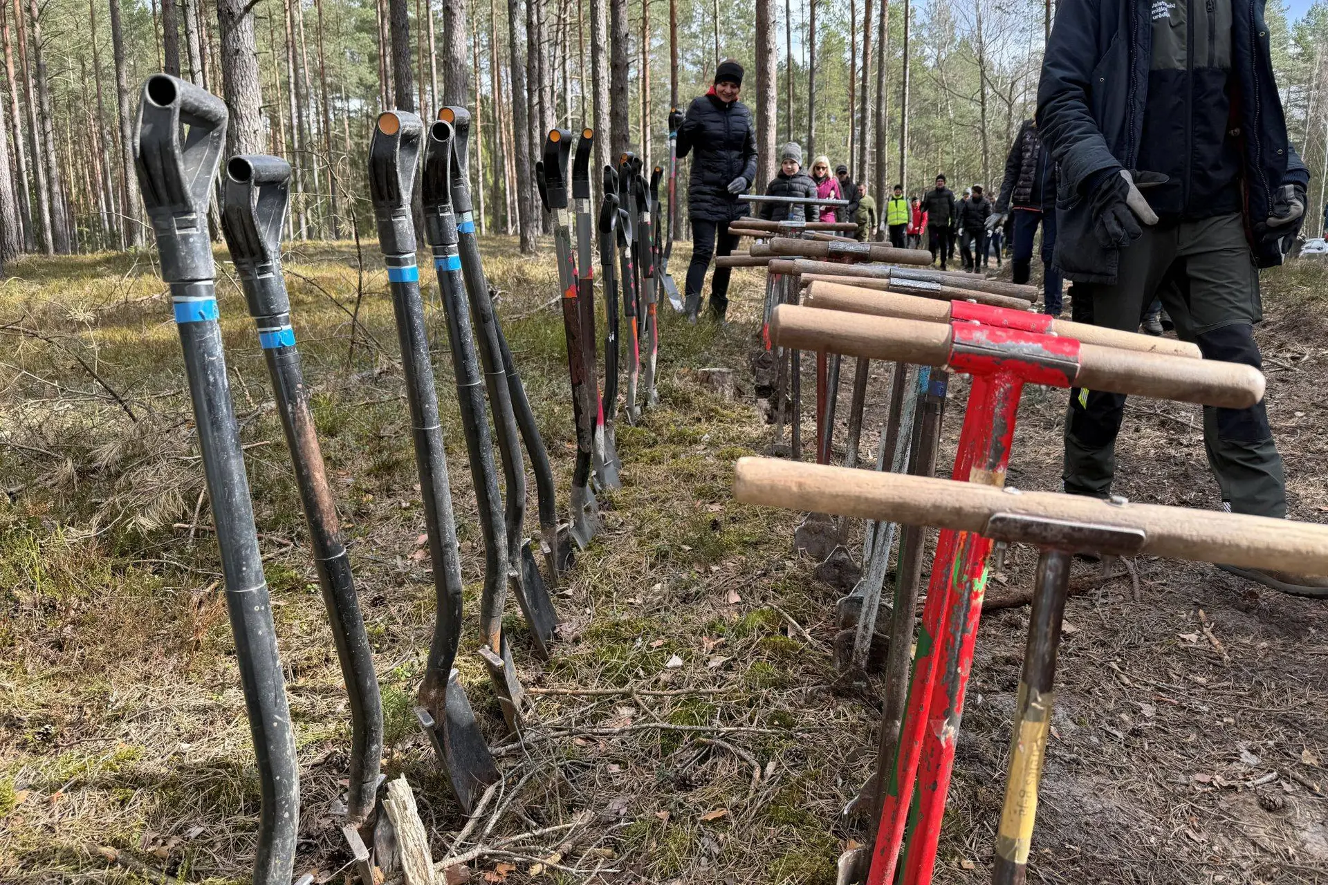 Miškasodis Kaune / Organizatorių nuotr.