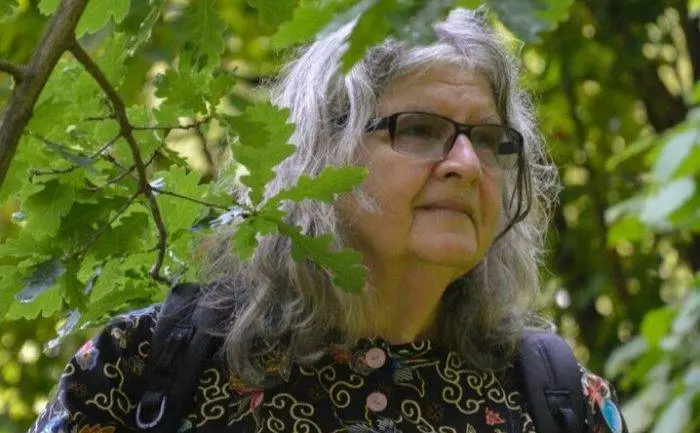 original_528719_profbirutegaldikas-1-700x433