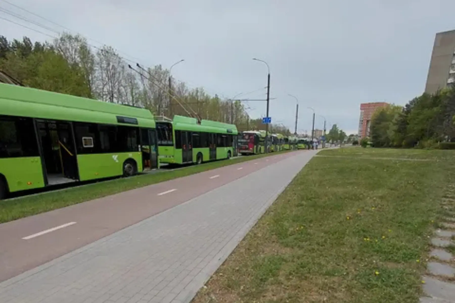 Sustojęs troleibusų eismas P. Lukšio gatvėje