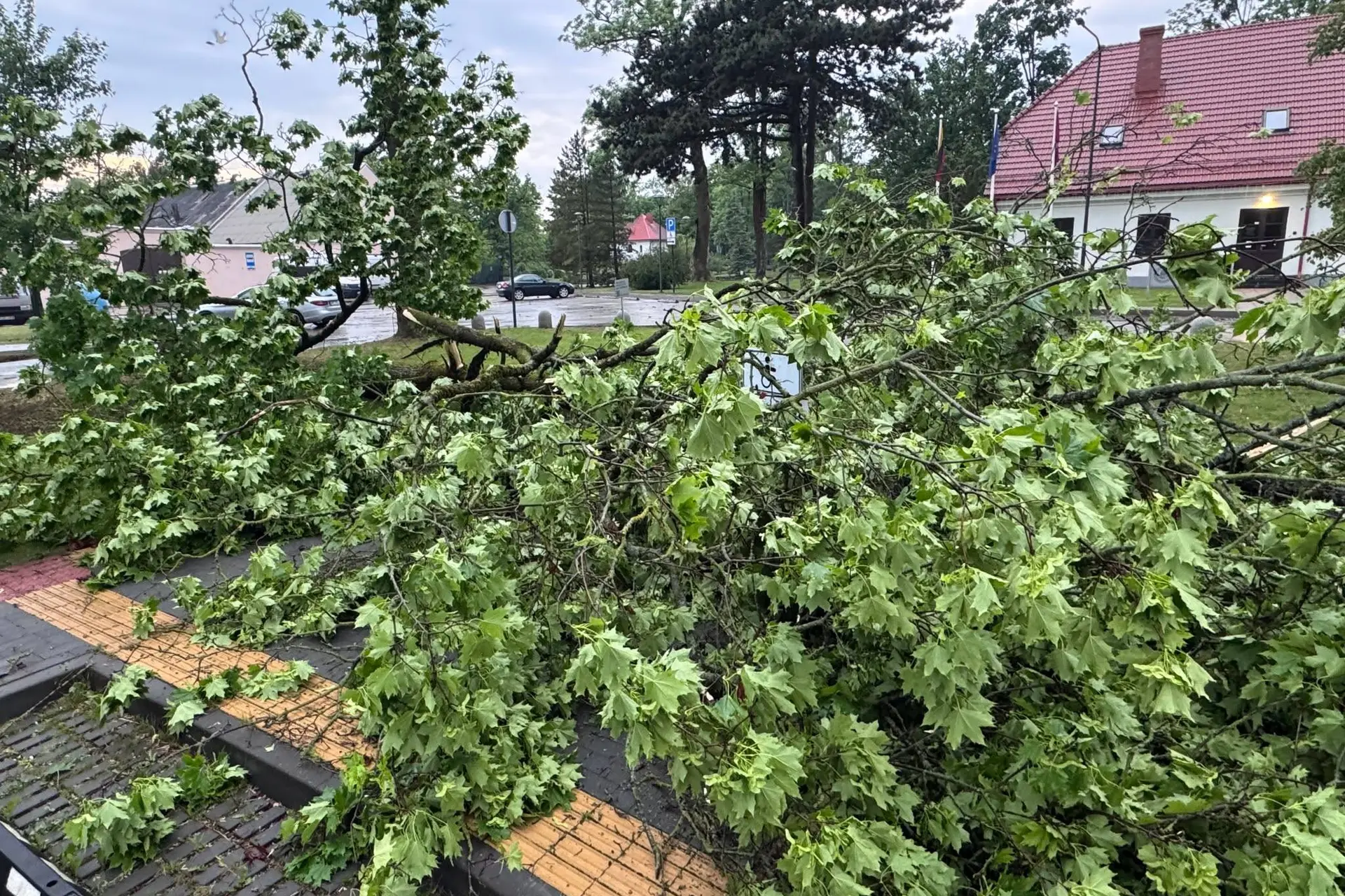 Audros padariniai Aleksote