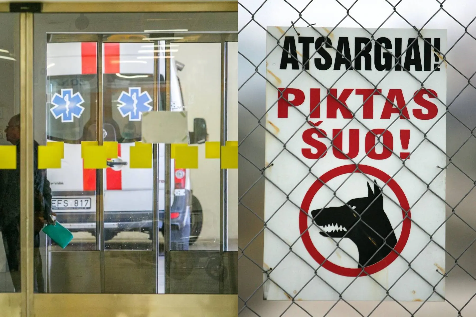Piktas šuo