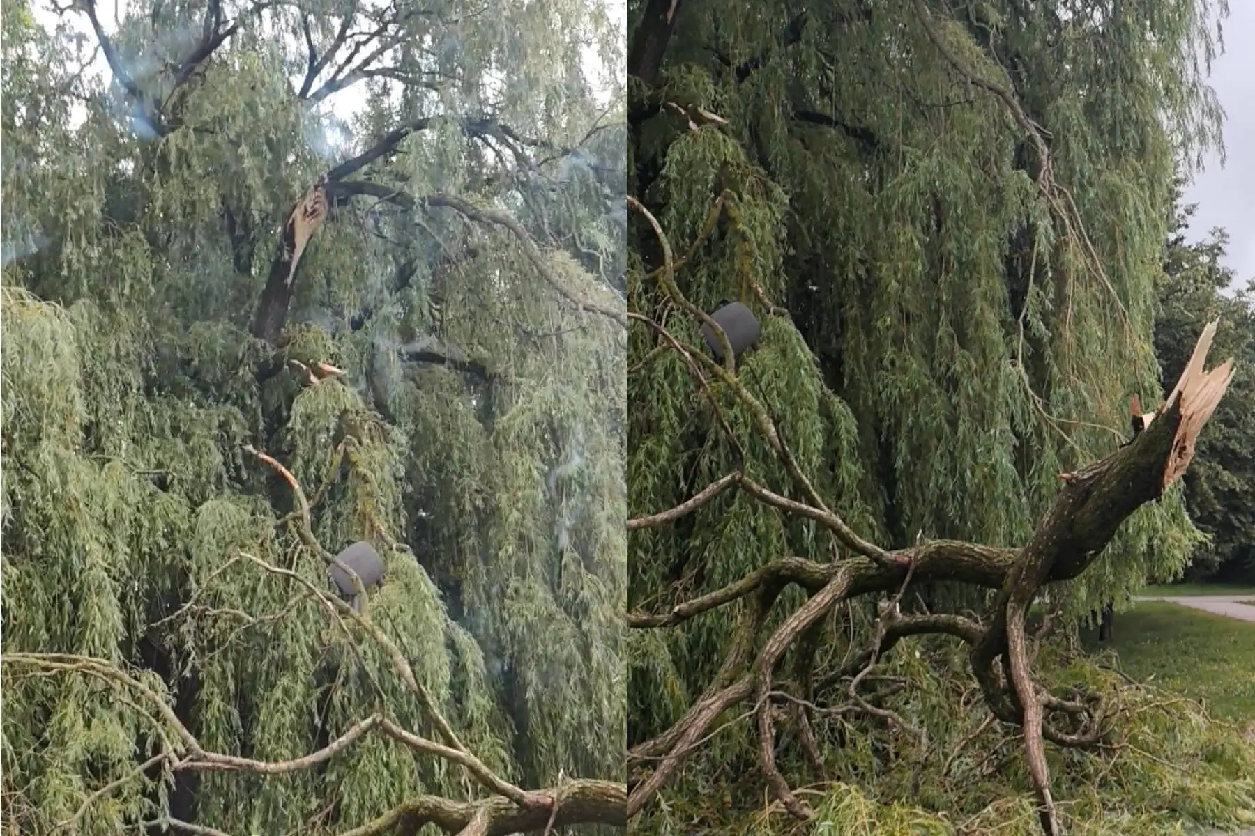 Draugystės parkas