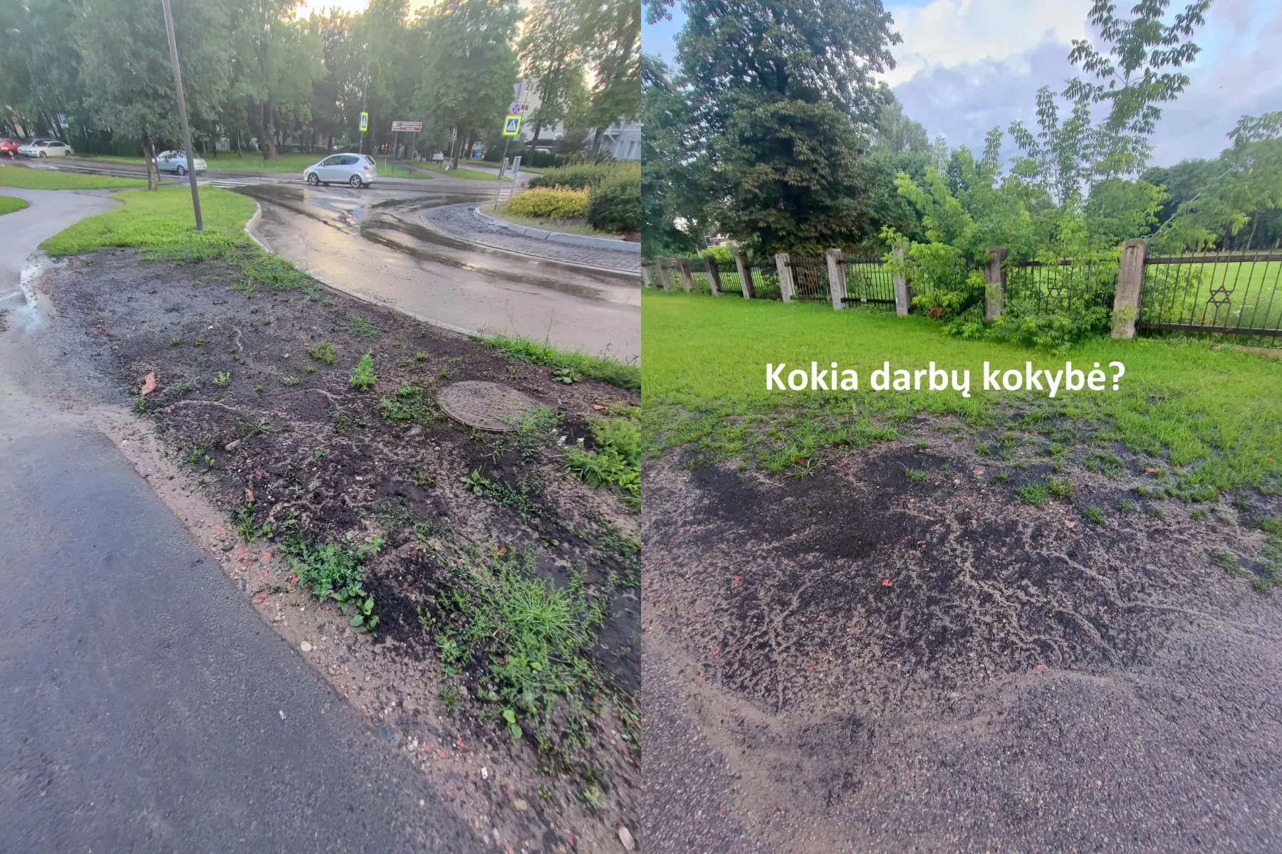 Nesutvarkyta žalioji zona J. Basanavičiaus al.