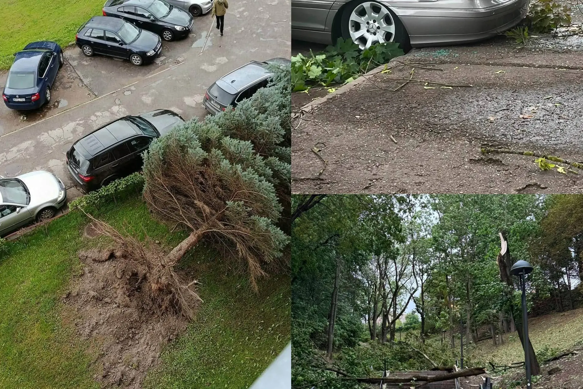 Audros padariniai Kaune / „Kas vyksta Kaune“ montažas