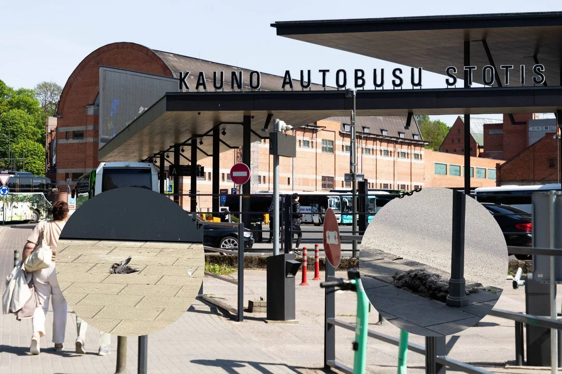 Autobusų stotis