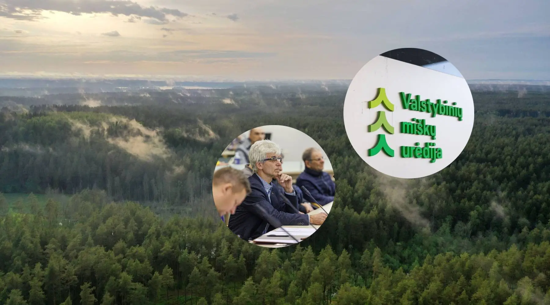 Miškai, S. Dambrauskas, VMU / „Kas vyksta Kaune“ fotomontažas