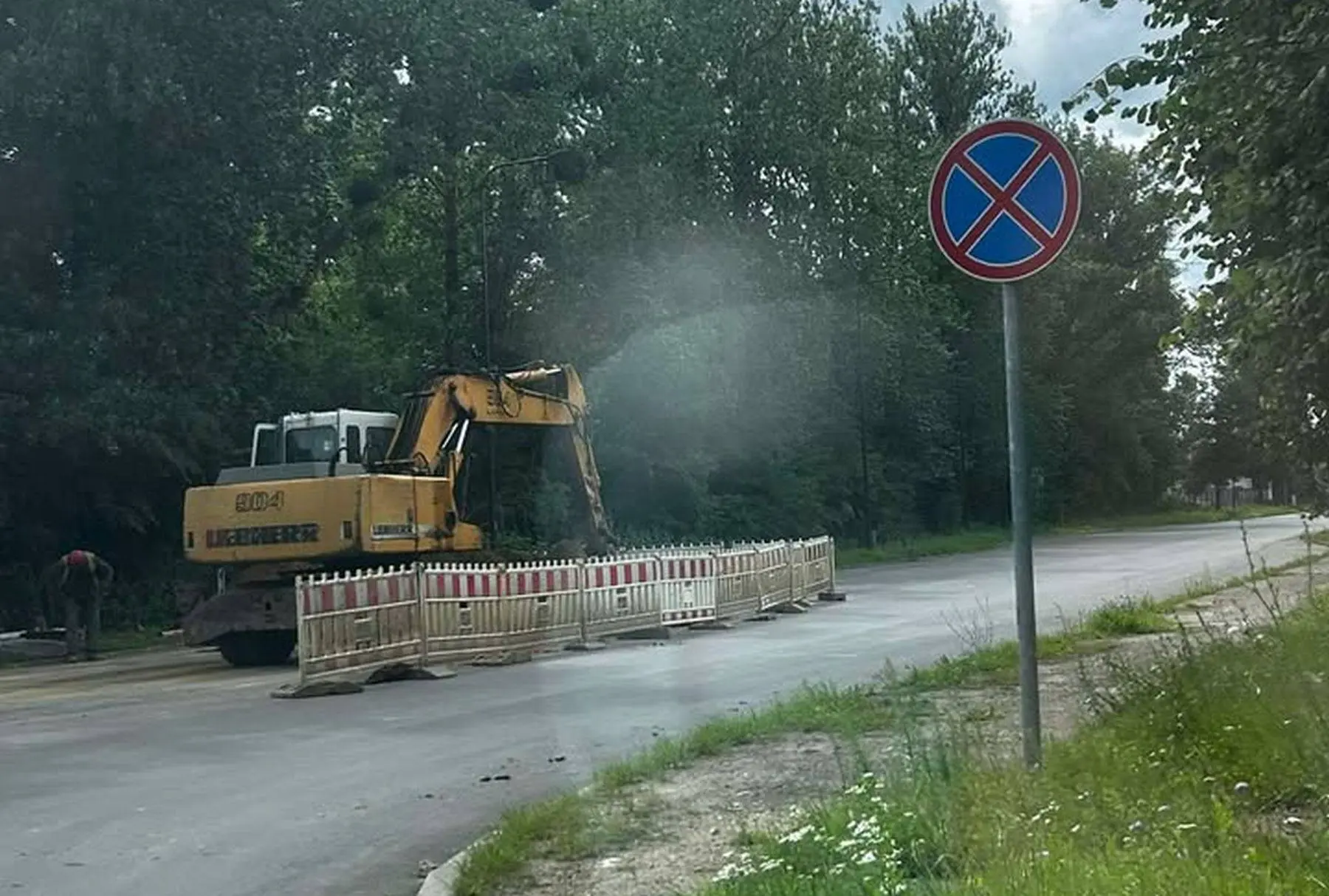 Palemono gatvė / Skaitytojos nuotr.