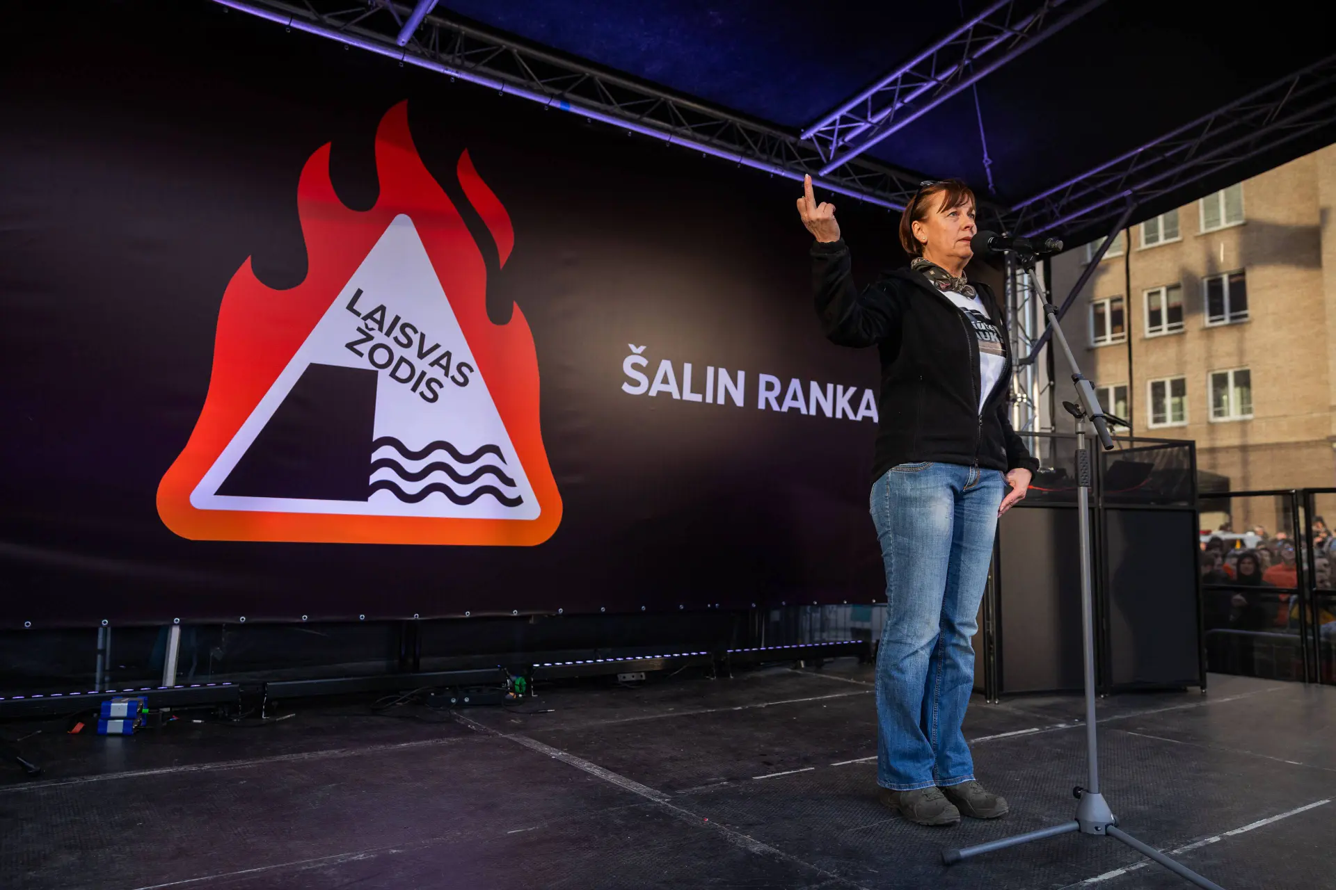 Rita Miliūtė Seimui parodė vidurinį pirštą / P. Adamovič, BNS nuotr.
