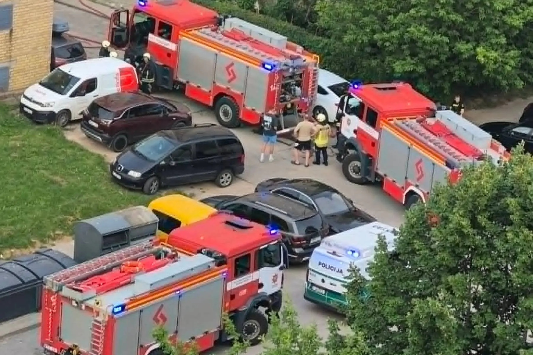 Tarnybos Baltų prospekte