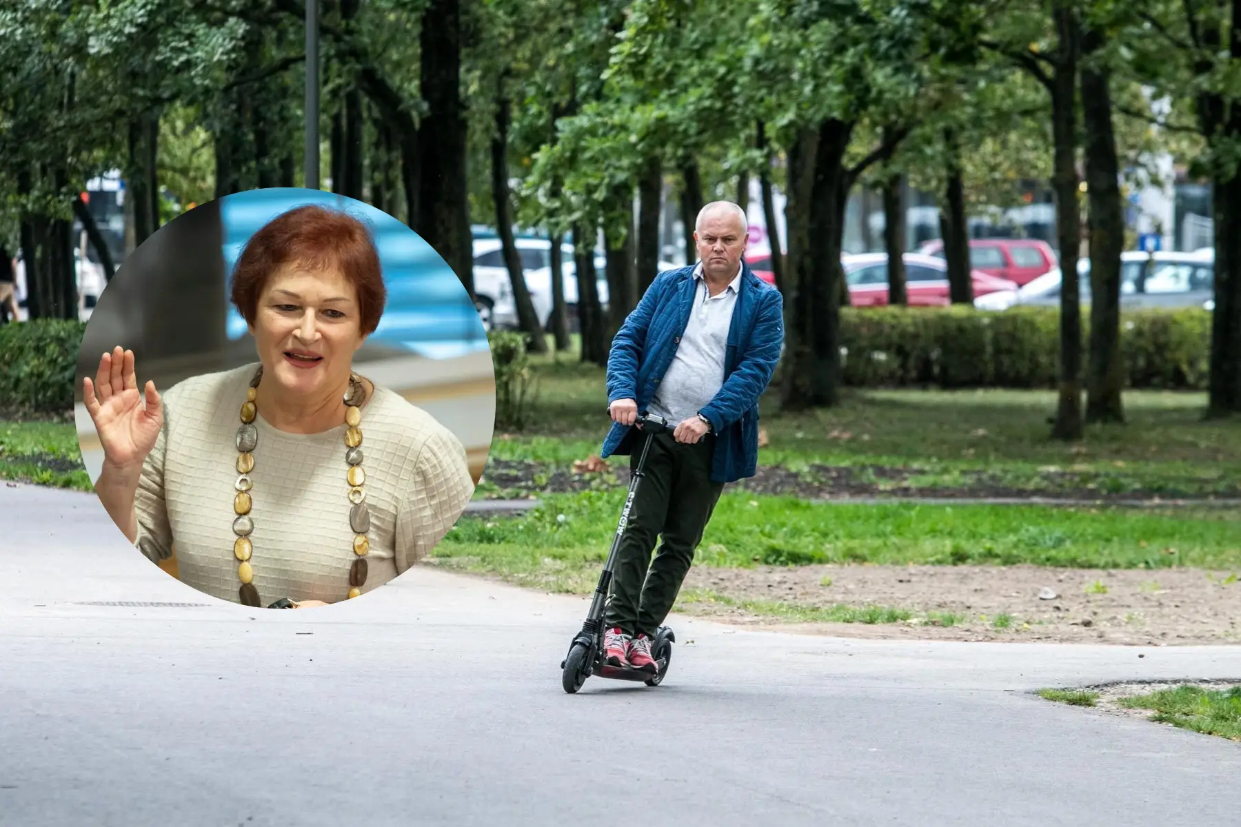 Nuvirtęs medis Partizanų g.