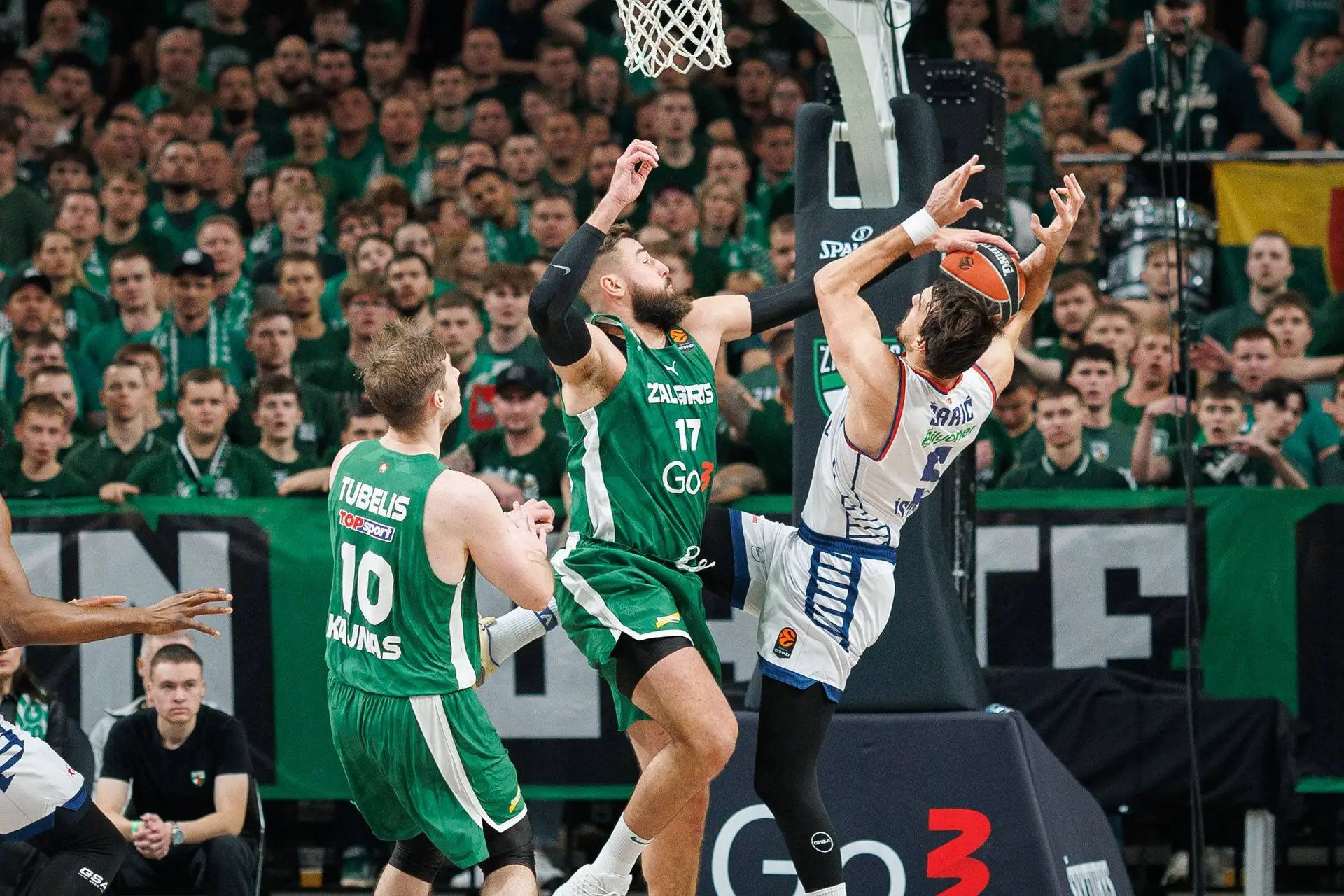 Kauno „Žalgiris“ – Stambulo „Anadolu Efes“